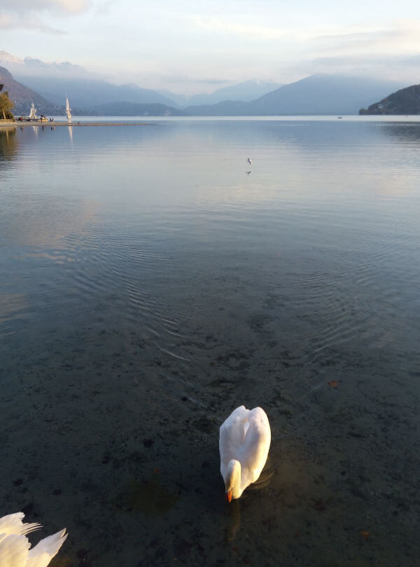 Un gros plouf dans le lac d’Annecy