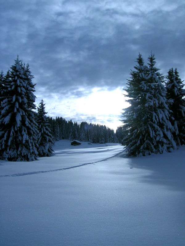 Plateau des Glières plateau glieres plateau des glières en hiver