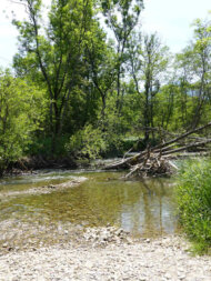 L'Eau Morte rivière traversant la Réserve Naturelle du Bout du Lac