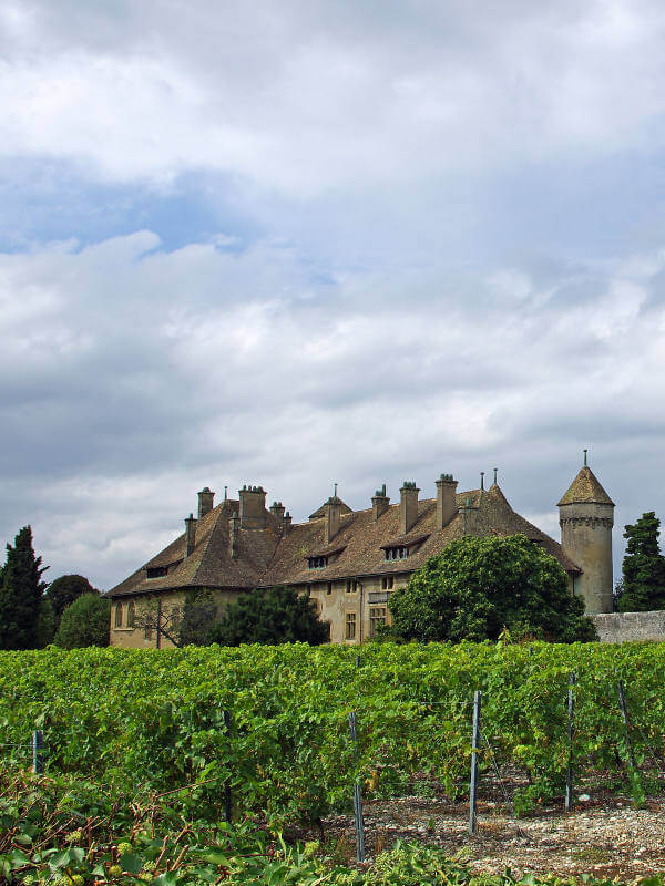 Vins de Savoie Chateau de ripaille vignes devant le Château de Ripaille