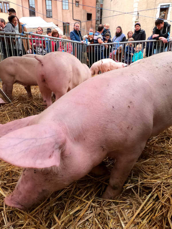 Fête du caïon