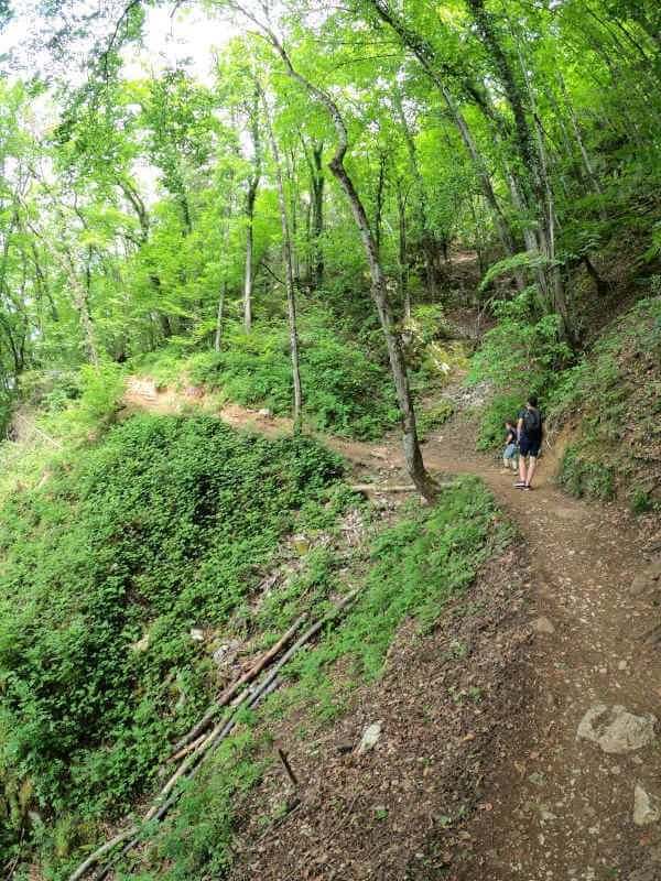 Veyrier du lac veyrier sentier sentier Mont-Veyrier