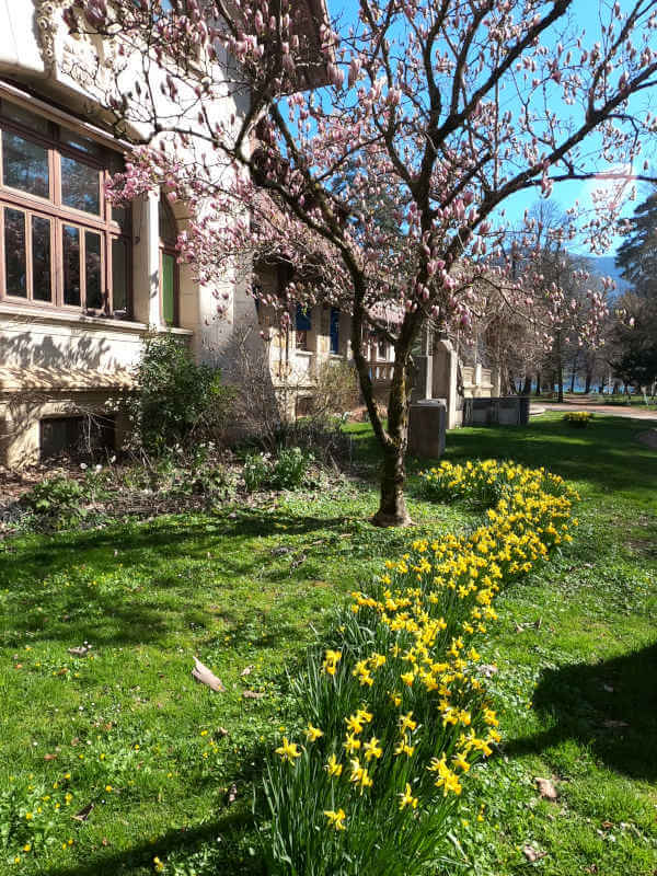 fleurs de printemps aux jardins de l'Europe