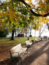 bancs dans le parc de l'Impérial