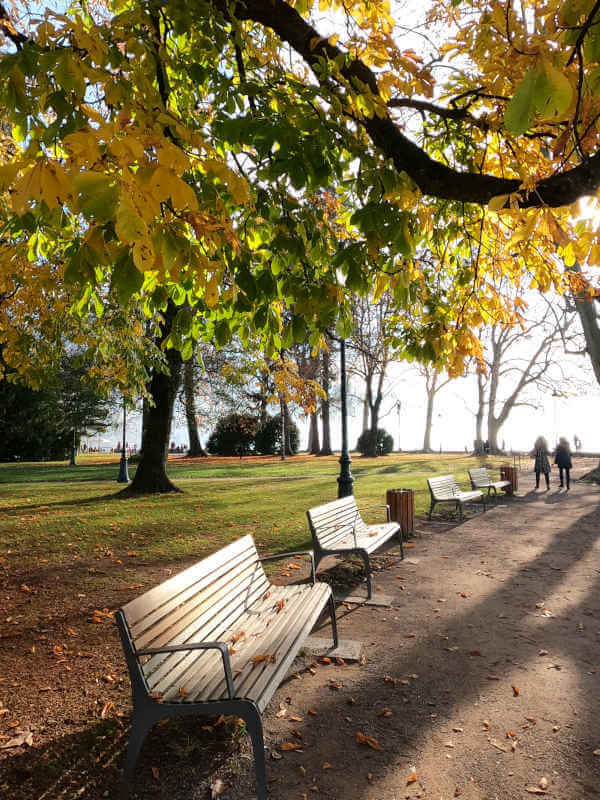 bancs dans le parc de l'Impérial